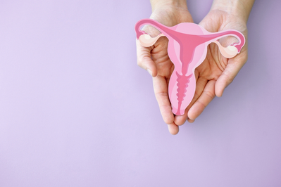 hands holding diagram of uterus and ovaries