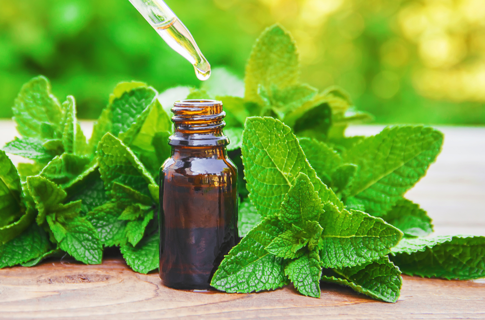 bottle of peppermint oil and dropper next to peppermint leaves